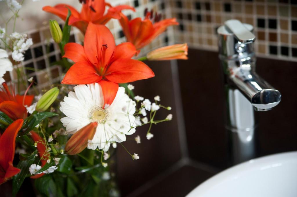 Casa Felicidad B&B Room & Kitchen Playa del Carmen Rom bilde